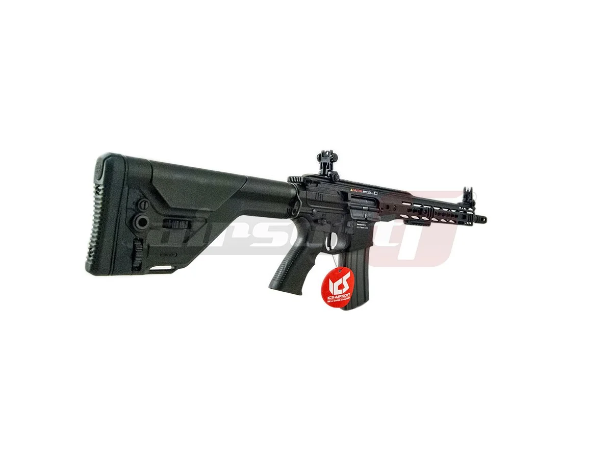 ICS M4 CXP MARS DMR 2